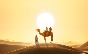 Giro con cammello nel deserto di notte a Dubai